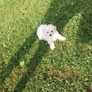 Meet your Posher, Keira